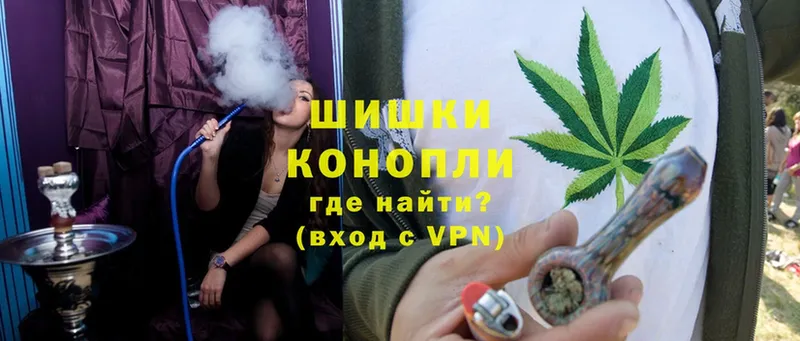 Конопля SATIVA & INDICA  купить наркоту  Нелидово 